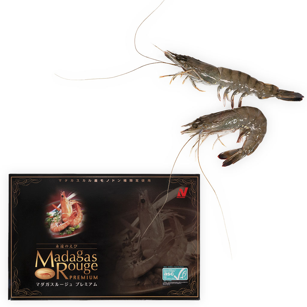 マダガスルージュ プレミアム 永遠のえび。大阪市中央卸売市場からお届け。