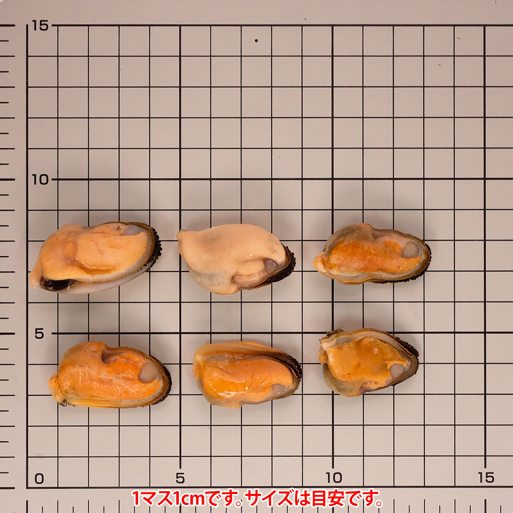 むき身ムールサイズ