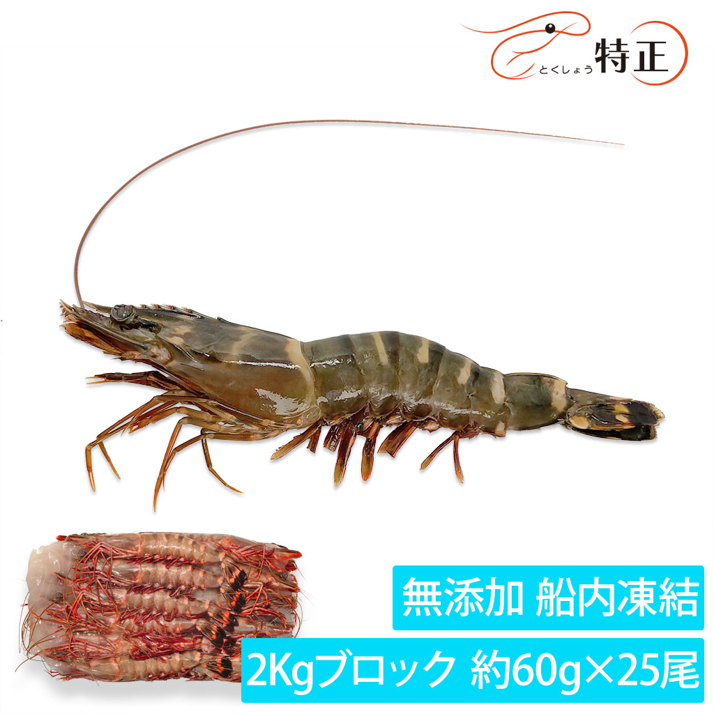 無添加天然有頭えび通販／販売の「特正」です。