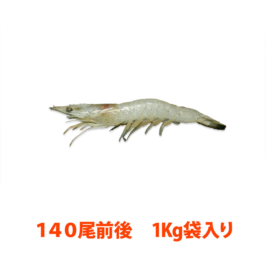 芝海老１Kg