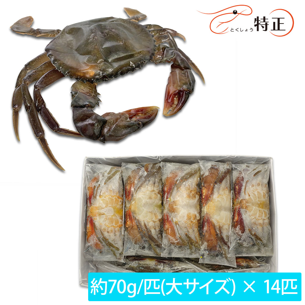 ソフトシェルクラブ大サイズ14匹