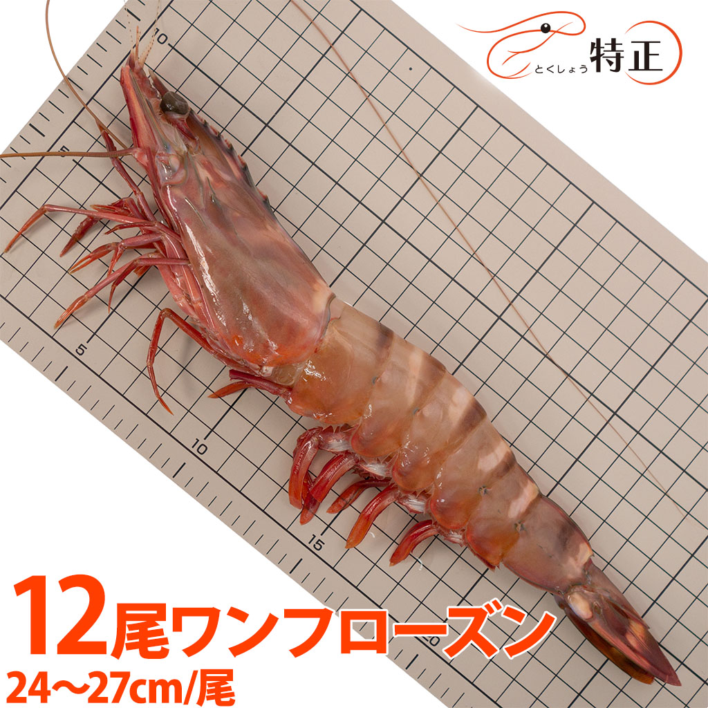 ジャンボ有頭シータイガー海老 全長24～27cm 12尾 ワンフローズン