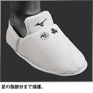 インステップガード