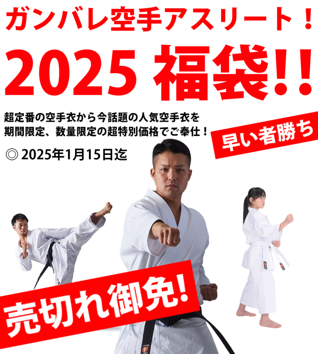 ミズノ 空手道 ニューメンホーⅦ セブン Mサイズ ノンコンタクト用 住まい