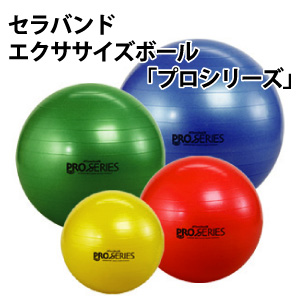 セラバンド エクササイズボール プロシリーズ 空手衣の 株 東京堂インターナショナル ショッピングサイト