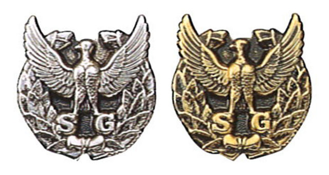 DEFENSER（興和商事）Ｇ1　帽章イーグル