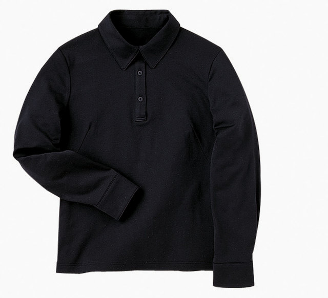 Hanectone（ハネクトーン）　WP355　長袖きれいポロ