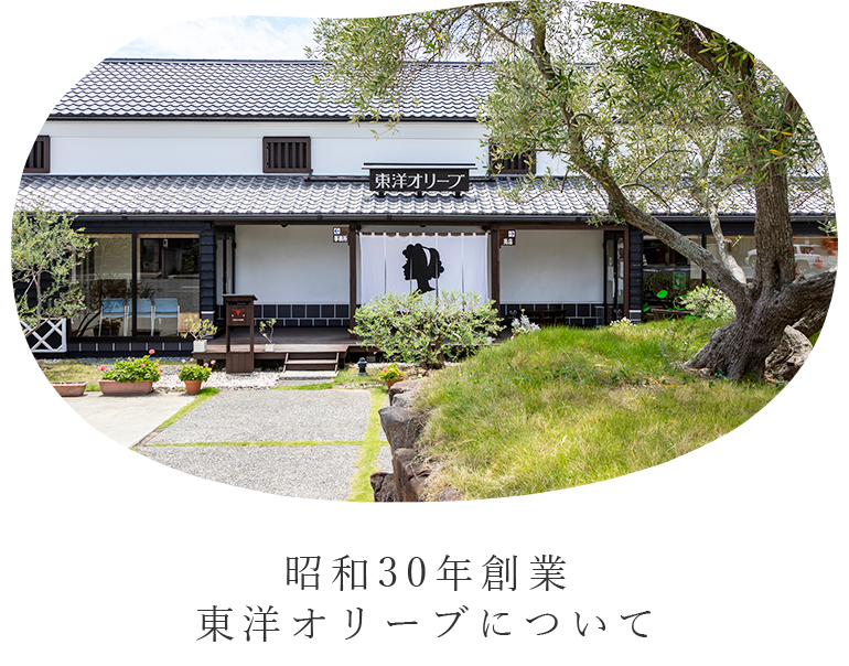 昭和30年創業 東洋オリーブについて