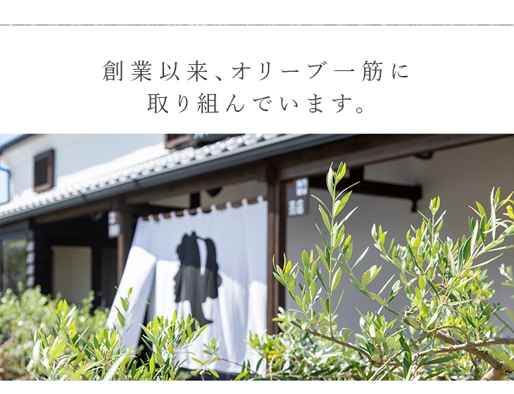 創業以来、オリーブ一筋に取り組んでいます。