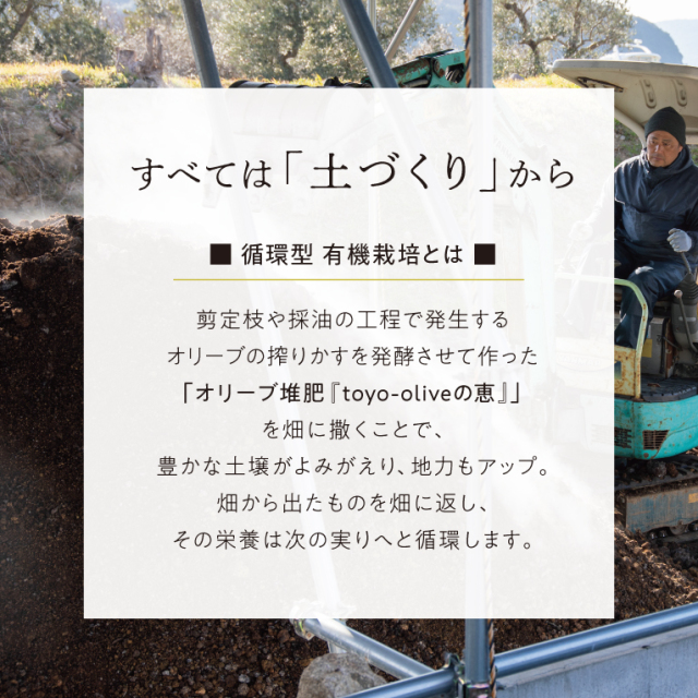 70周年記念】小豆島産 循環型 有機栽培 エキストラバージン