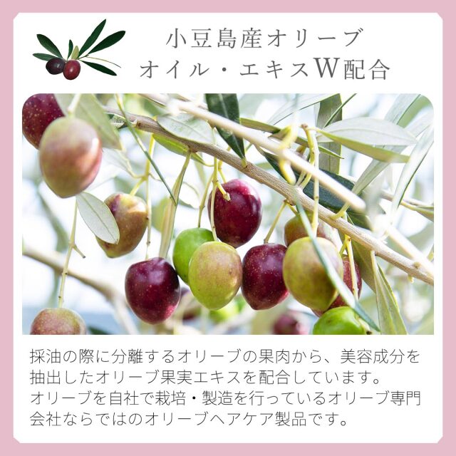 トレアオリーブシャンプー 300ml