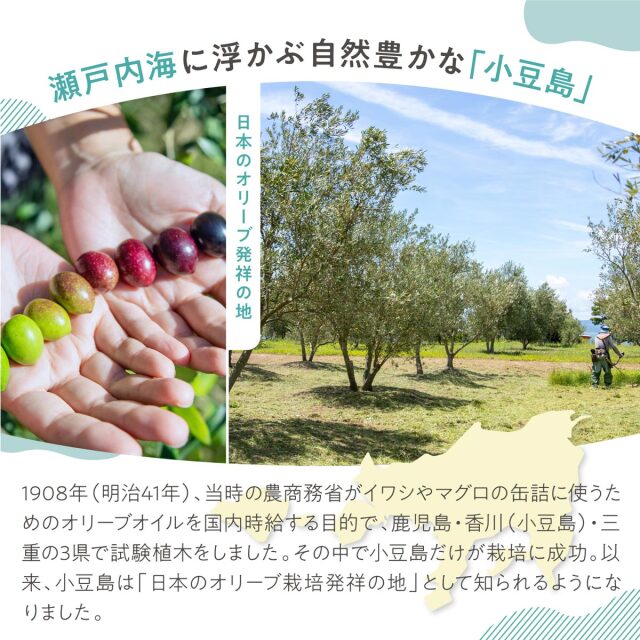®️　オイルソープ２点 オバコ オイルソープ - ovaco（オバコ化粧品）【株式会社エスター】