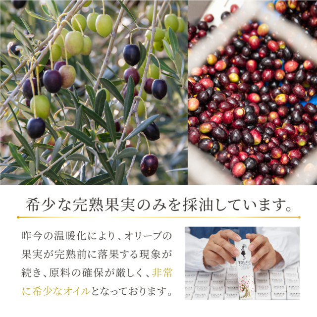 小豆島産トレアエメラルド エキストラバージンオリーブオイル 40ml×3本セット 期間限定セール！9月29日10時まで】 東洋オリーブ トレア