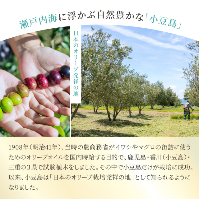 小豆島産トレアエメラルド エキストラバージンオリーブオイル 40ml×3本セット 期間限定セール！10月20日10時まで】 東洋オリーブ トレア