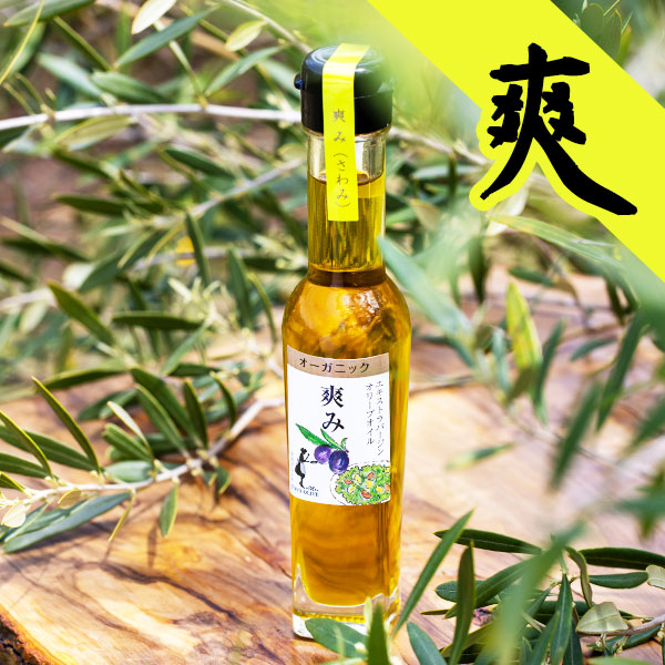https://image1.shopserve.jp/tolea.jp/pic-labo/llimg/f-0561_top.jpg?t=20260901093419