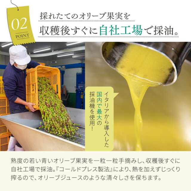 小豆島産エキストラバージンオリーブオイル[早摘み] 136g