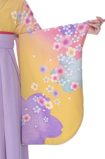 卒業式着物袴商品画像