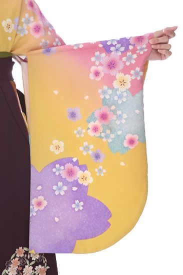 卒業式着物袴商品画像