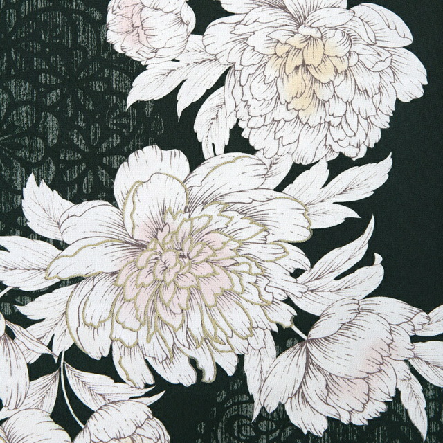 卒業式着物袴商品画像