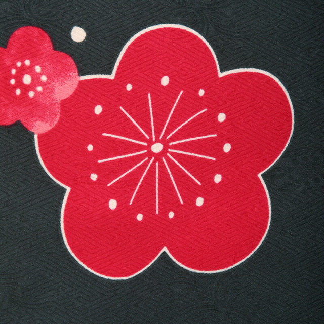 卒業式着物袴の商品画像