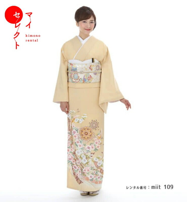 色留袖商品画像