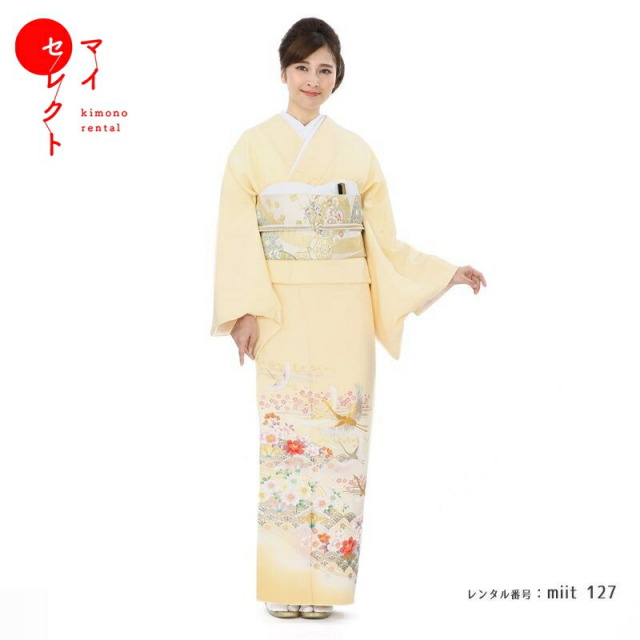 色留袖商品画像