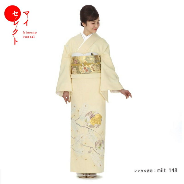 色留袖商品画像