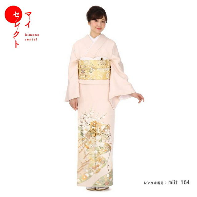 色留袖商品画像