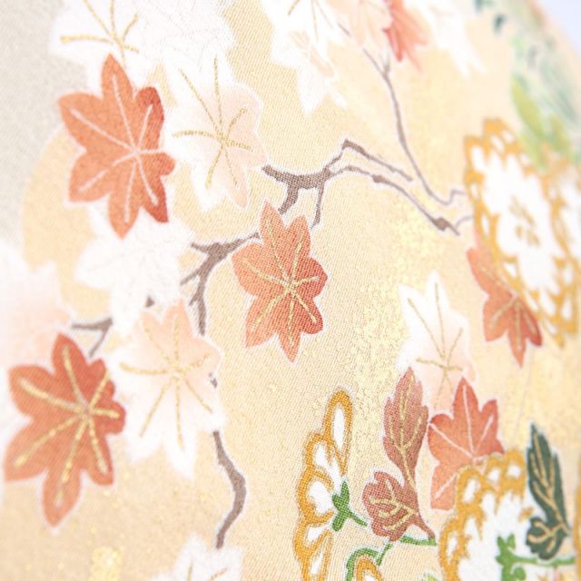 色留袖商品画像