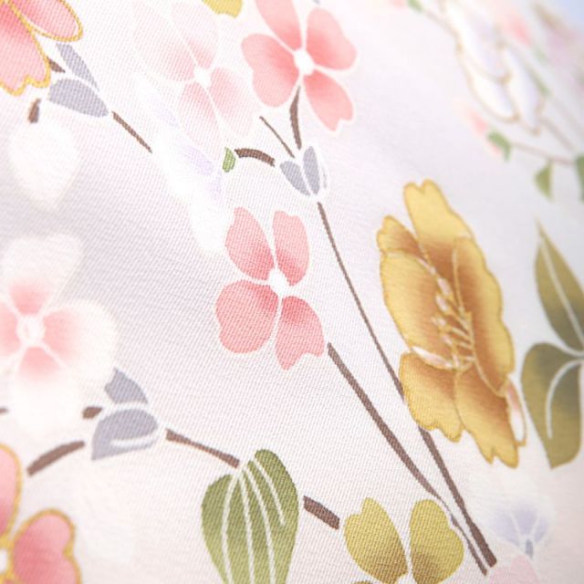 色留袖商品画像