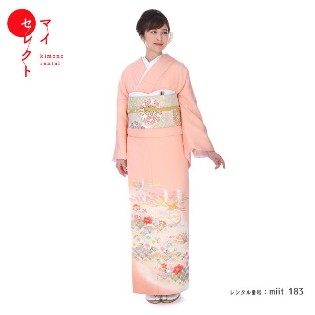 色留袖商品画像