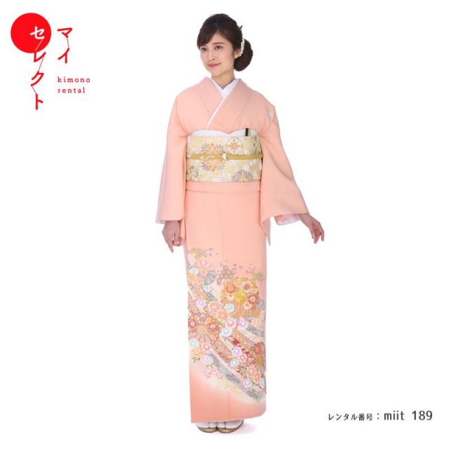 色留袖商品画像