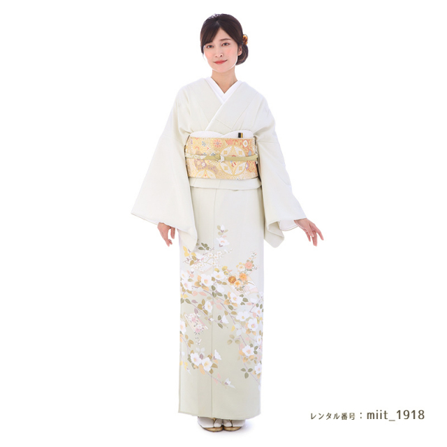 色留袖商品画像