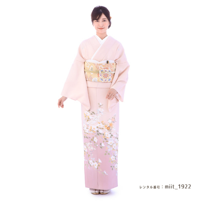 色留袖商品画像