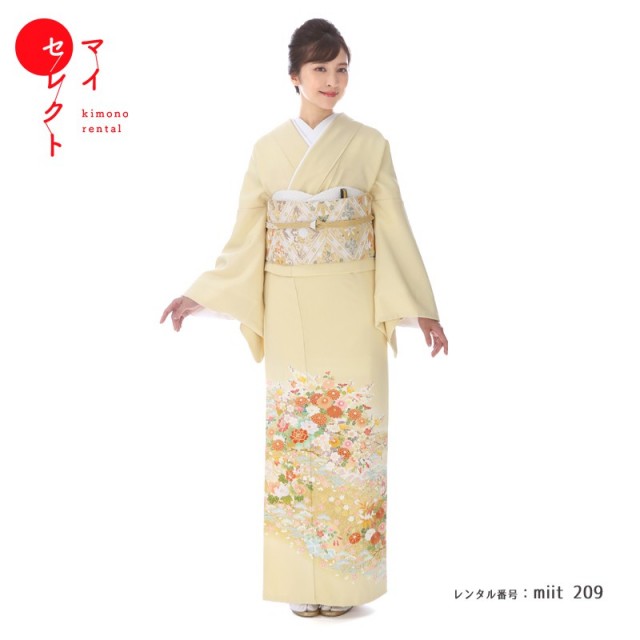 色留袖商品画像