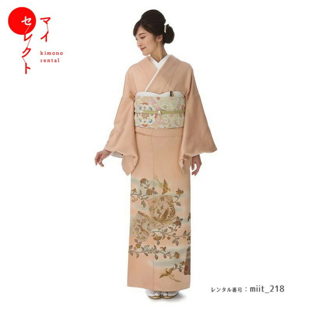 色留袖商品画像