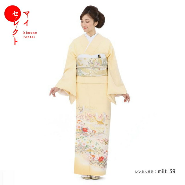 色留袖商品画像
