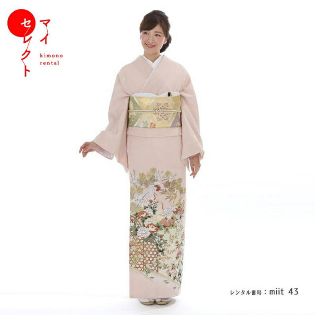 色留袖商品画像