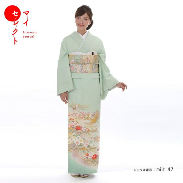 色留袖商品画像