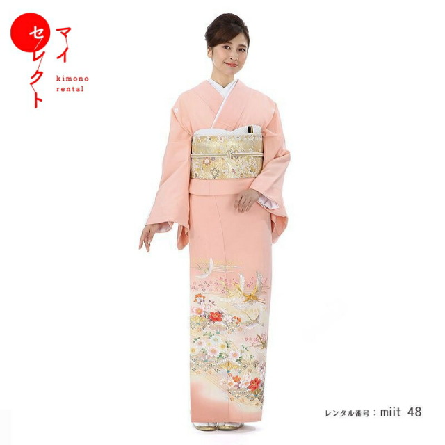 色留袖商品画像