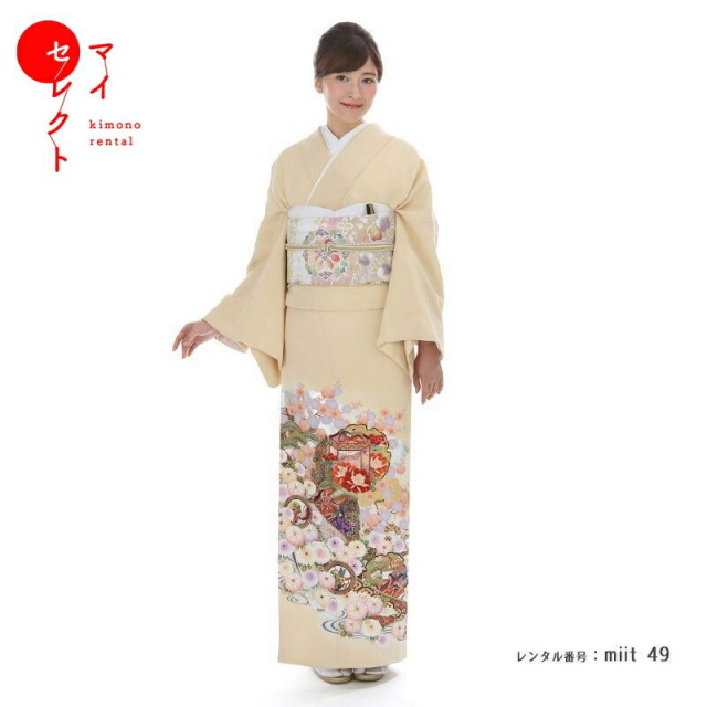 色留袖商品画像