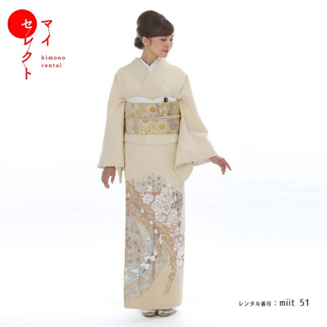 色留袖商品画像
