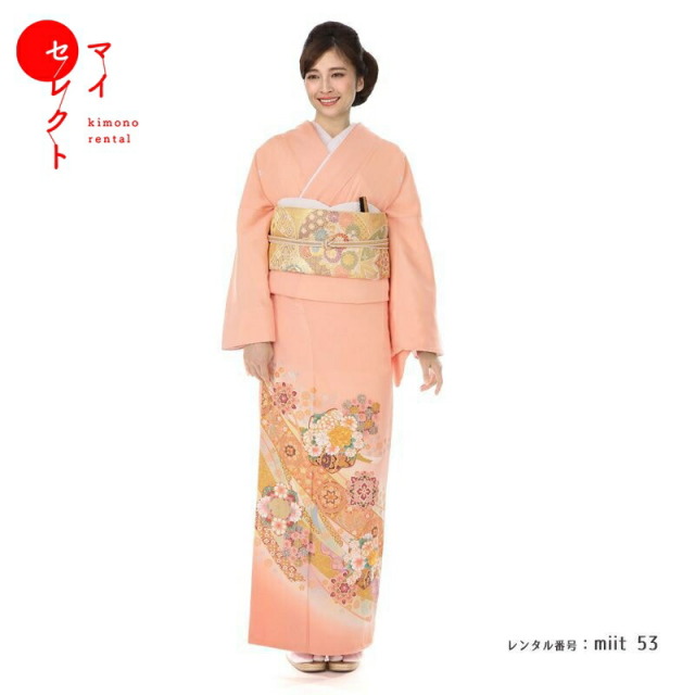 色留袖商品画像