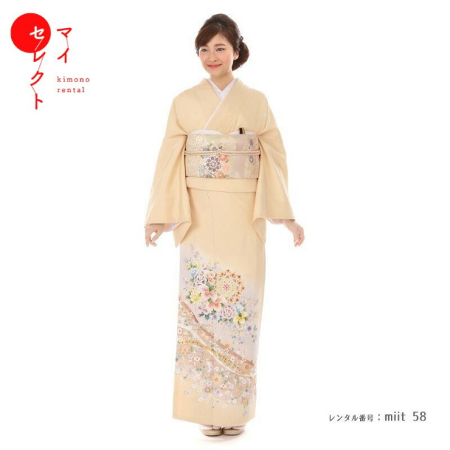 色留袖商品画像