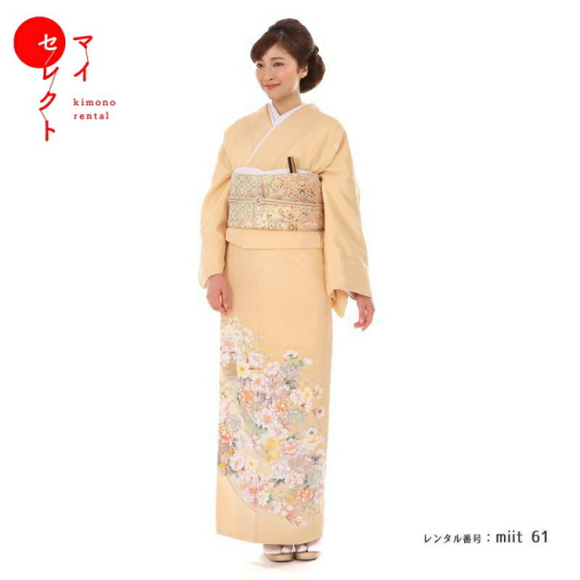 色留袖商品画像