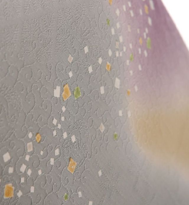 色留袖商品画像