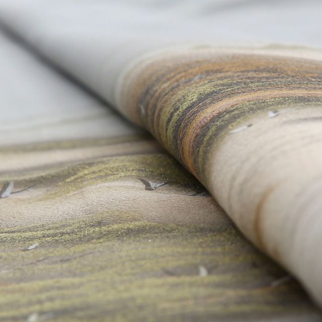 色留袖商品画像