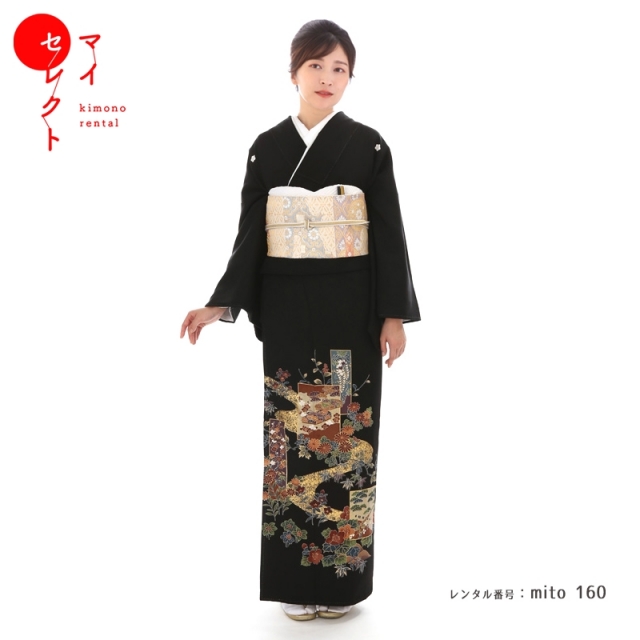 中81　小菊／ mito_160