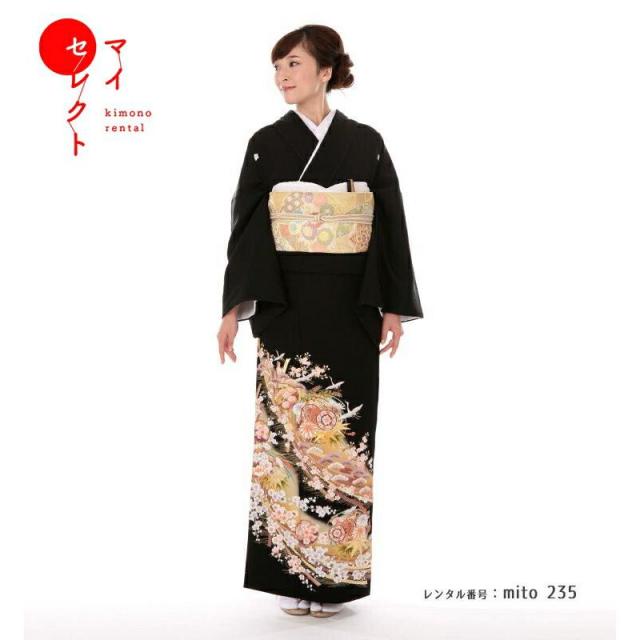 mito_235 N-203 束ね熨斗に鼓 