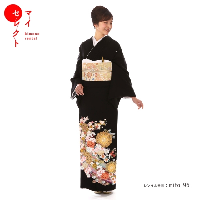 N-117　徳川絵巻／ mito_96